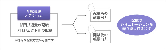 配賦管理オプション