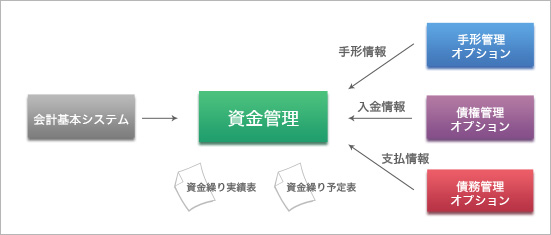 資金管理オプション