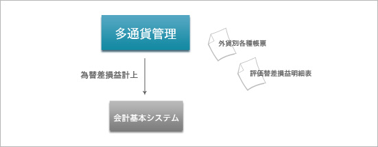 外貨入力オプション